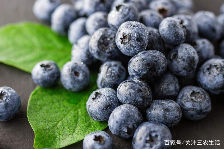 百度蓝莓蘑菇五秒跳转广告怎么样