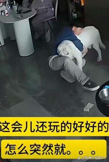 狗和人锁住能两天拔不出来吗?