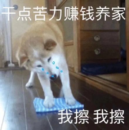 熊猫赚钱多多