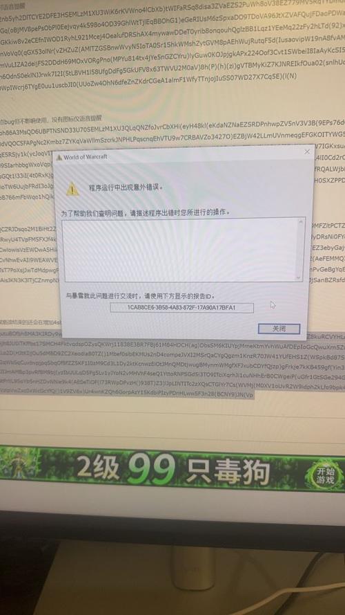 魔兽世界闪退错误132