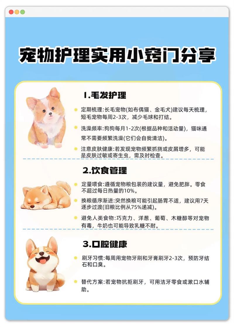 仓鼠眼睛肿了怎么回事