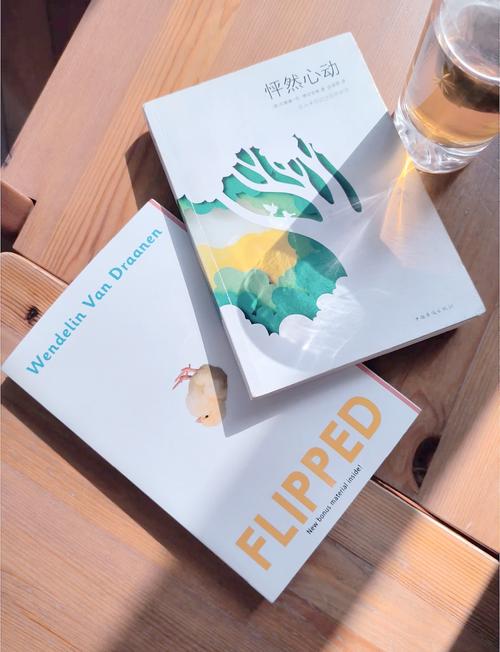 flipped小说中文版百度云