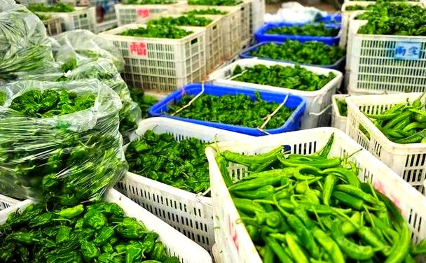 深圳农产品配送公司排名