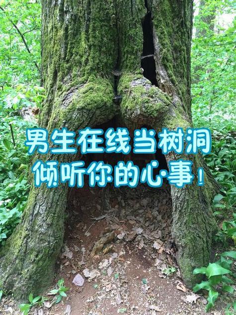 树洞倾听者怎么接单