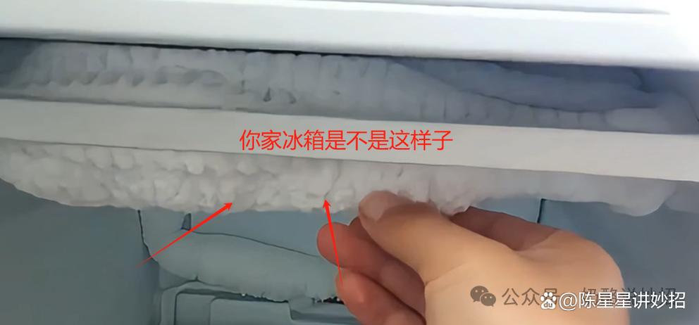 冰柜内有一层塑料是否应该撕掉