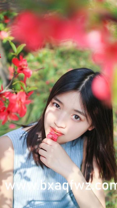 高昌王妃黛妃小说全文阅读