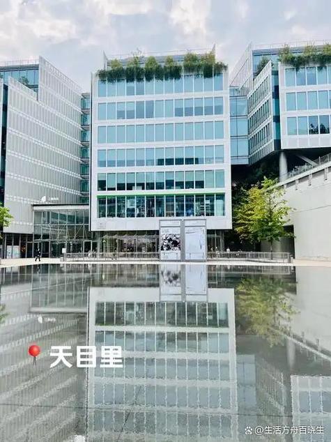 杭州十大网红公司