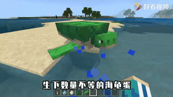 我的世界海龟不生蛋怎么回事