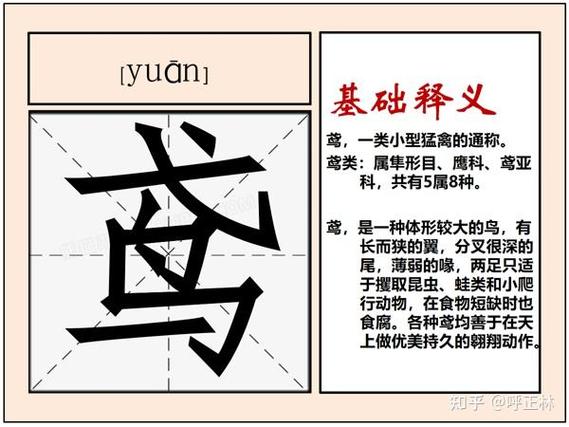 鸟下面加几念什么