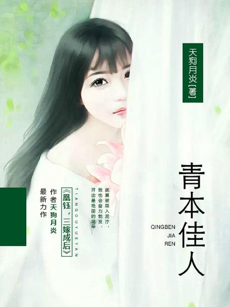 青本佳人无广告 青本佳人无广告