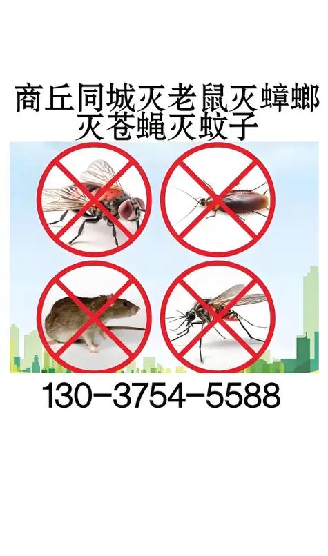 如何灭苍蝇最有效的方法