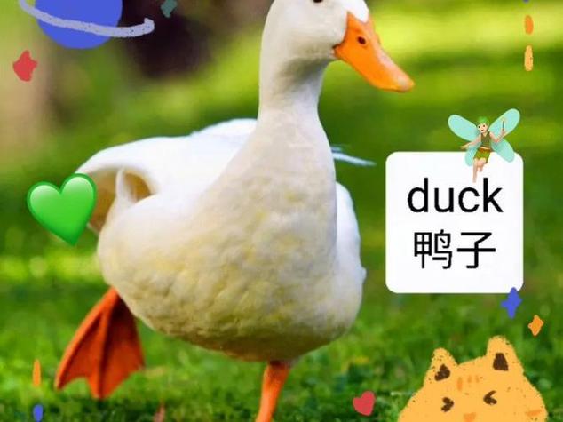 女孩子说duck是啥意思