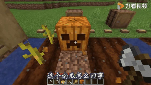 我的世界南瓜西瓜出果实条件