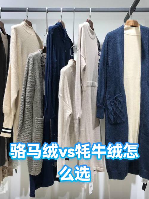 骑骆驼和骑马哪个舒服