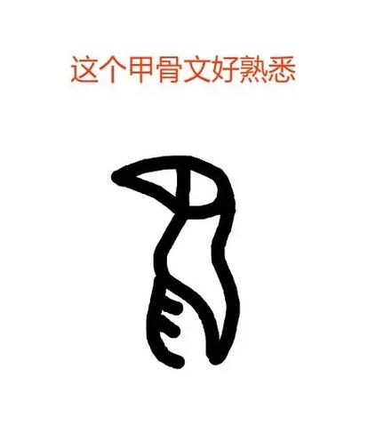鸟的甲骨文有哪些特点