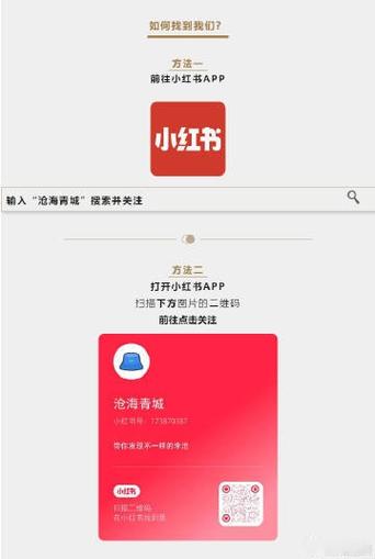 小红书关注5人只显示4人