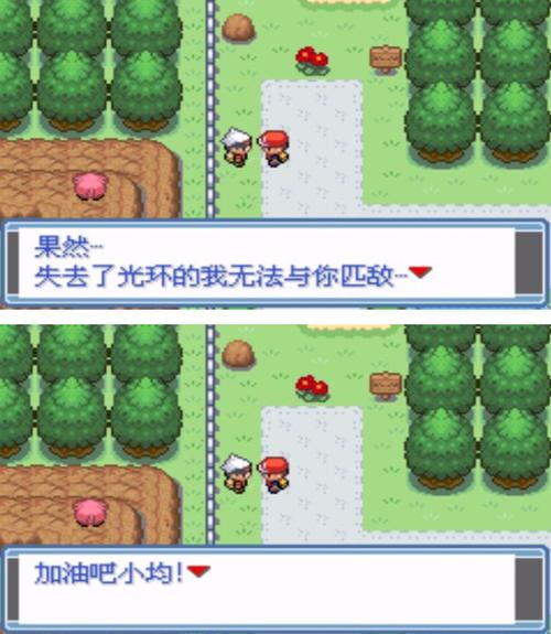 口袋妖怪永恒之炎zero破解版
