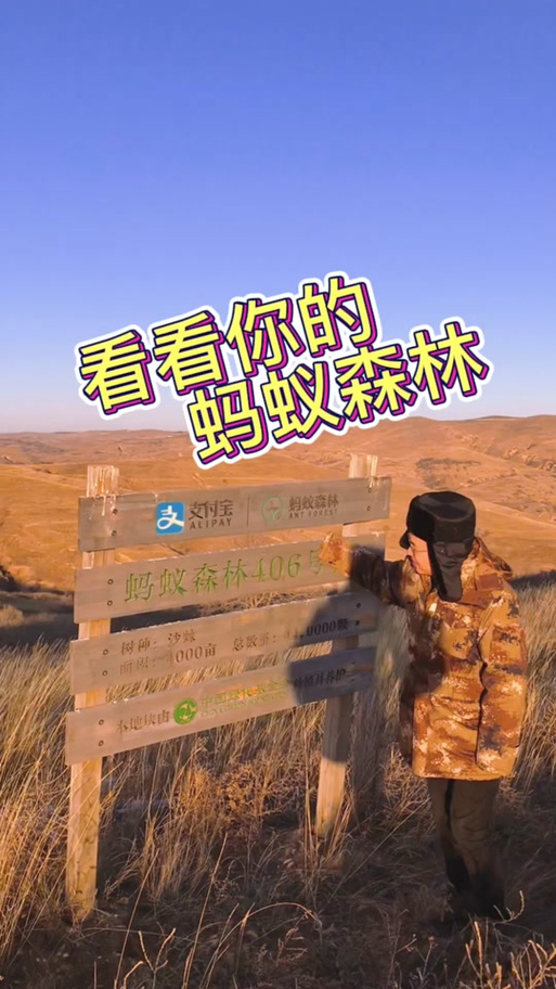 蚂蚁森林不能种树吗截图3