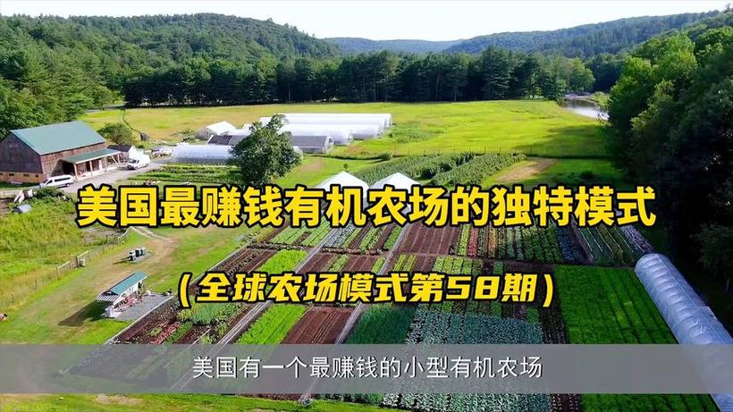 今日头条的农场有什么用