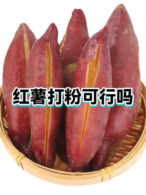 高铁带红薯粉2条会被扣吗