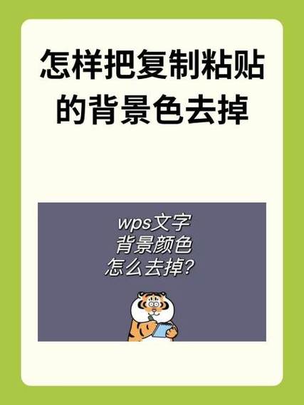 文字背景颜色怎么去掉
