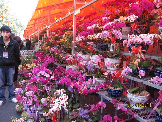 最近花卉市场