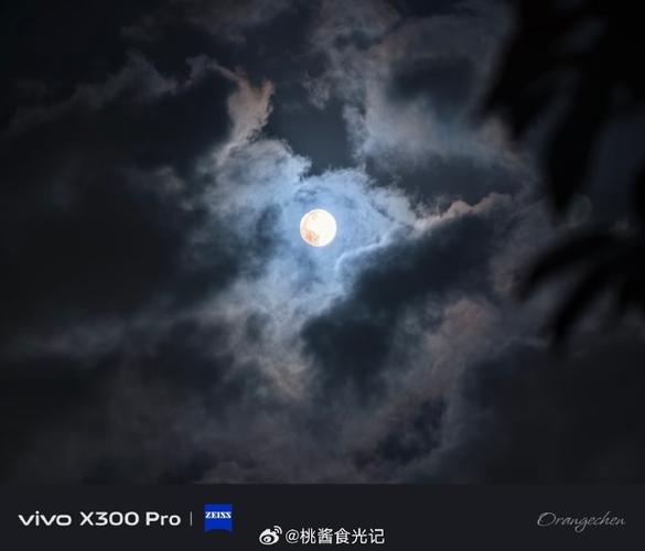 vivo手机拍月亮方法实测有效截图2