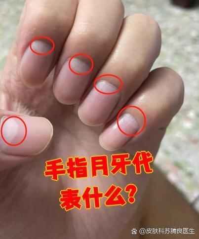 朋友圈月牙代表什么意思