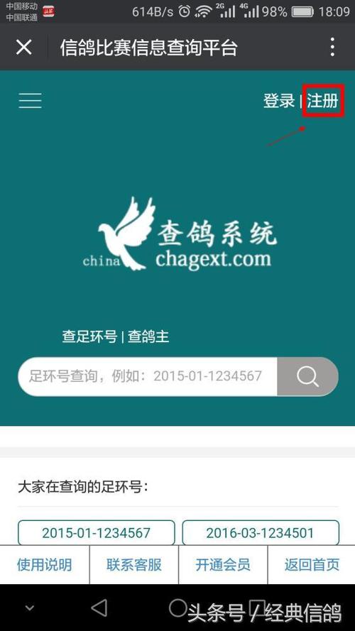 查鸽网免费查询