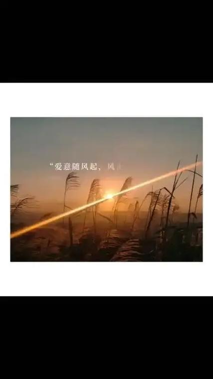 见面的句子唯美短句