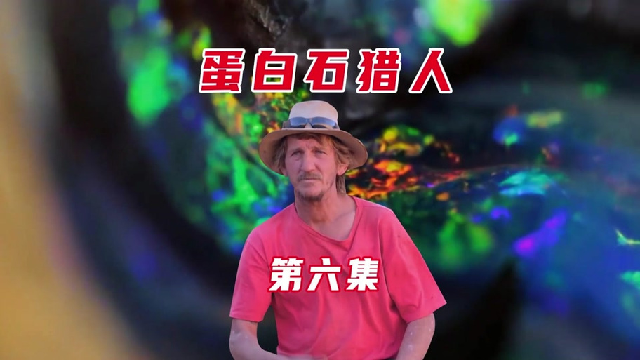 宝石猎人纪录片免费观看截图2