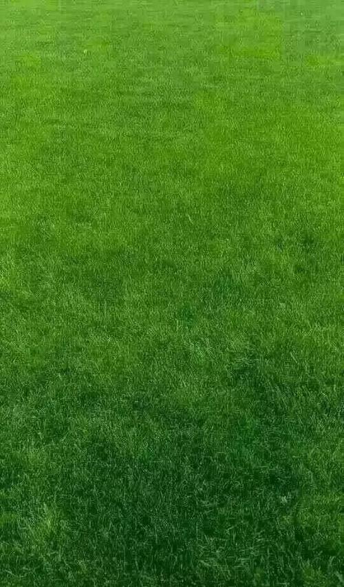 绿色运行用不了