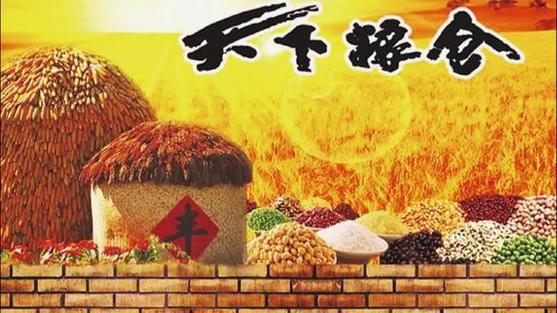 天天下粮仓