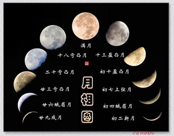 月亮变化顺口溜初一初二