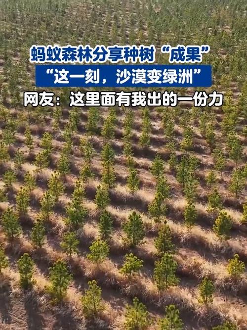 蚂蚁蚁森林种树
