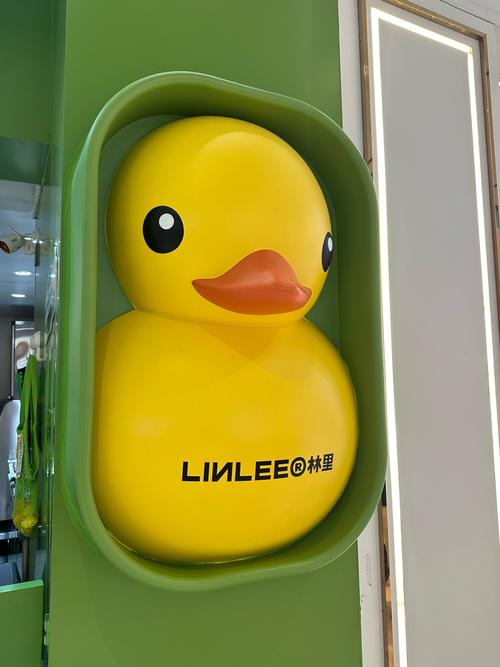 长沙bduck小黄鸭官网