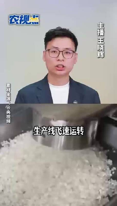人造大米有毒吗