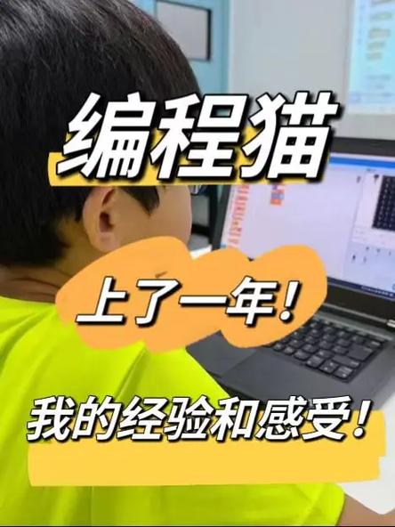 编程猫为啥打入学校