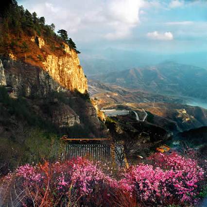 山水桃花小说全文阅读