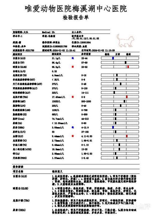 猫传腹的早期症状和表现