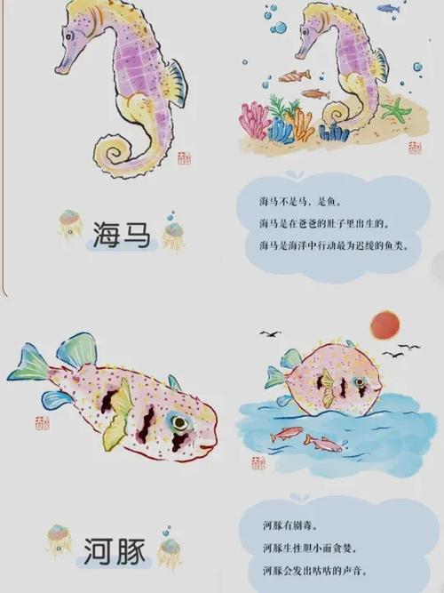 红鱼是淡水鱼还是海水鱼