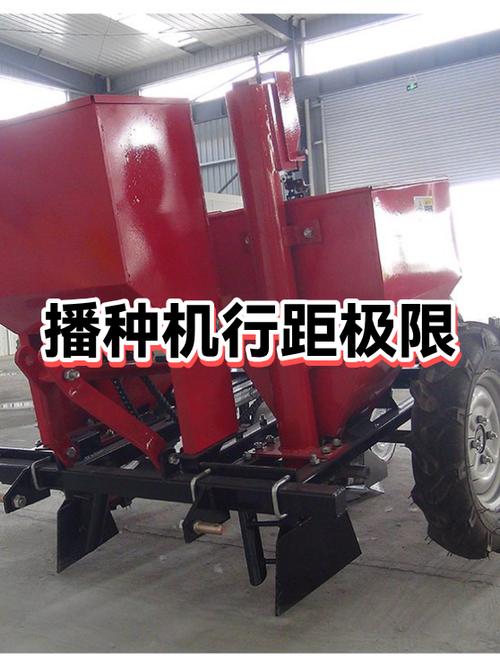 白天6度,晚上零下5度能种植小麦