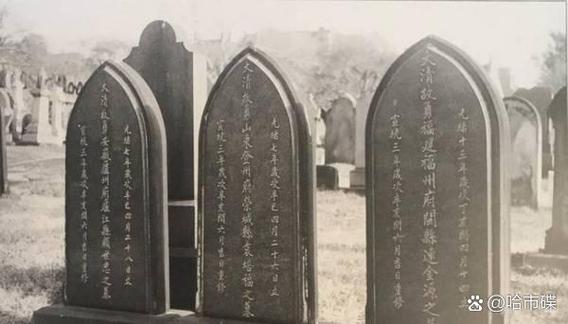 一个手机号长期不用会怎样
