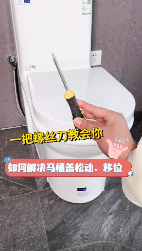 坐便器盖松动了怎么修复