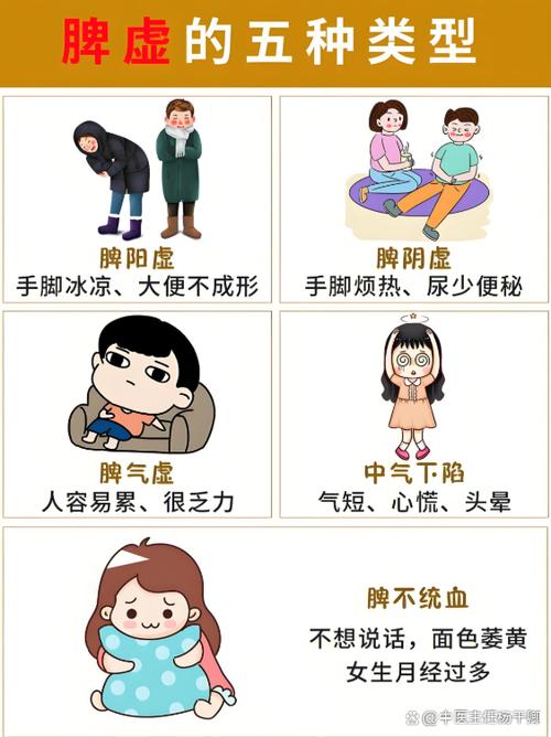 脾虚会导致性功能下降吗
