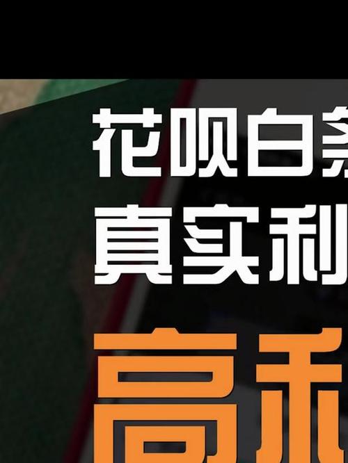 有没有和花呗白条类似的平台截图2