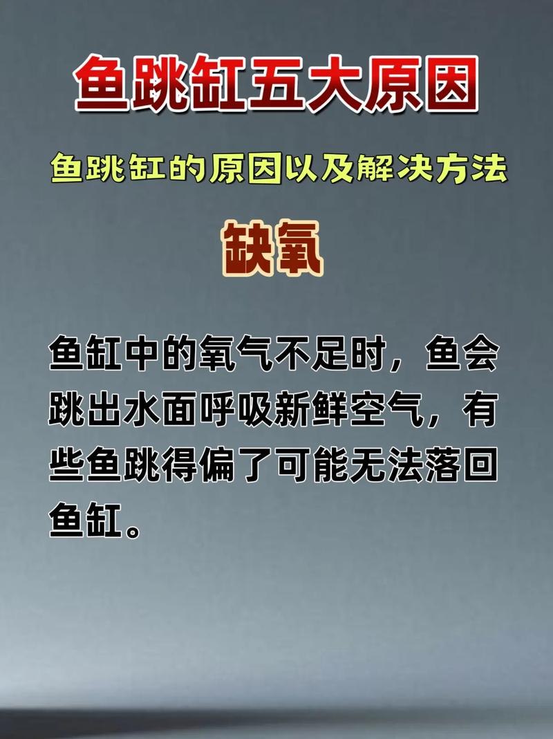 鱼跃8F-5W停产原因