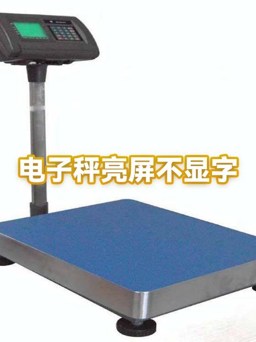 电子秤显示屏亮不显字
