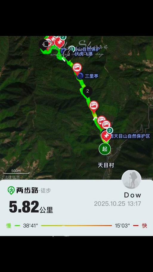 大树王国徒步路线