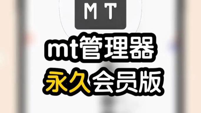 nt管理器VIP版